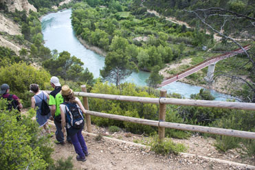 Rutas guiadas para disfrutar de Caminos Naturales
