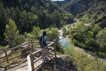 Rutas guiadas para disfrutar de Caminos Naturales
