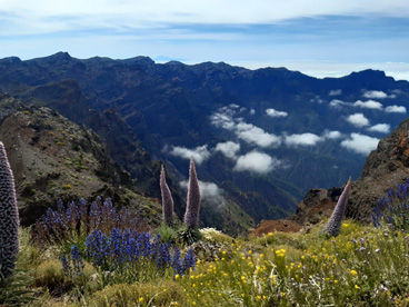 Camino Natural de La Palma