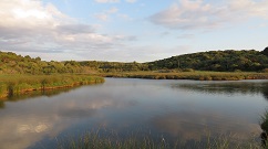 Menorca, Reserva de la Biosfera