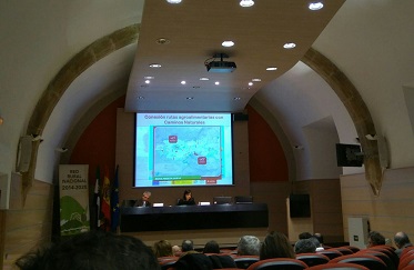 Ponencia de caminos naturales