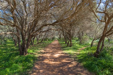 Caminos Naturales