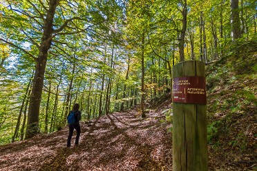 Caminos Naturales