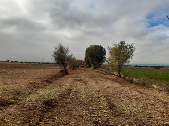 Camino Natural Vía Verde de Barbastro-Castejón del Puente-Monzón