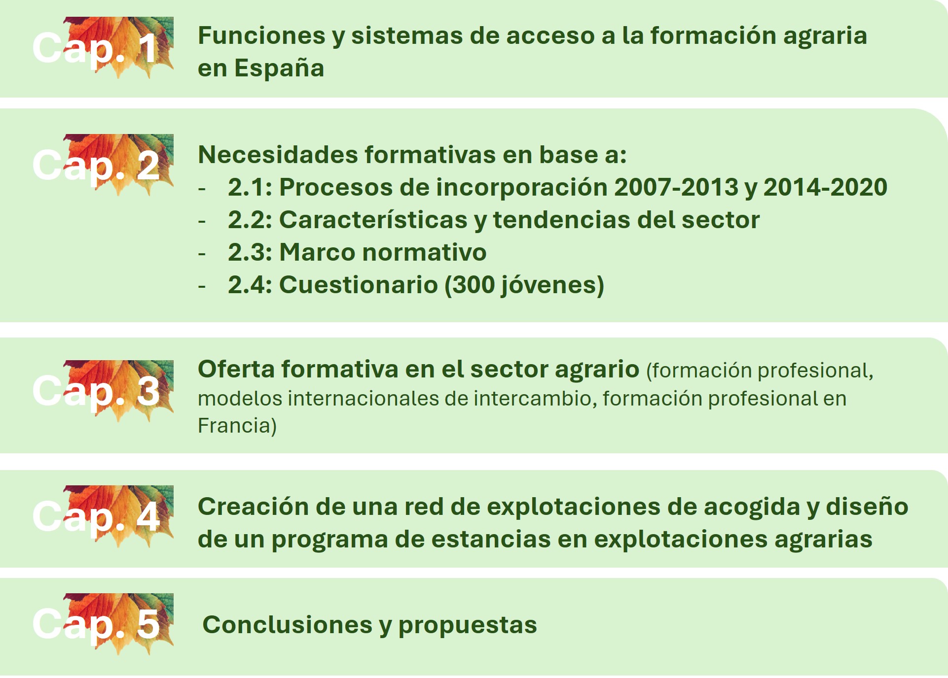 Ilustración del contenido del Estudio de Necesidades Formativas del Medio Rural estructurado en 5 capítulos que son los siguientes. Capítulo 1: Funciones y sistemas de acceso a la formación agraria en España. Capítulo 2: Necesidades formativas en base a procesos de incorporación 2007-2013 y 2014-2020, características y tendencias del sector, marco normativo y un cuestionario a 300 jóvenes. Capítulo 3: Oferta formativa en el sector agrario. Capítulo 4: Creación de una red de explotaciones de acogida y diseño de un programa de estancias en explotaciones agrarias. Capítulo 5: Conclusiones y propuestas. 