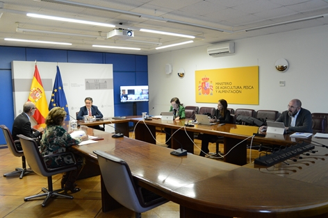 Hoy se ha celebrado el Consejo Consultivo informativo foto 5