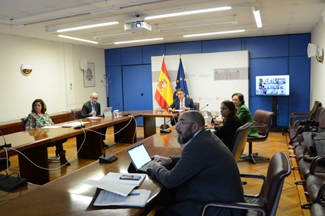 Hoy se ha celebrado el Consejo Consultivo informativo foto 3