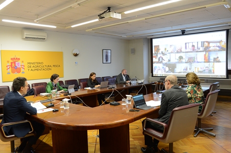 Hoy se ha celebrado el Consejo Consultivo informativo foto 6
