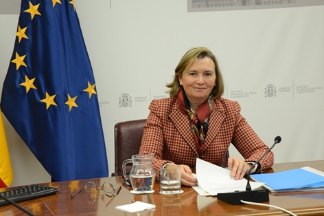 Hoy se ha celebrado el Consejo Consultivo informativo foto 2