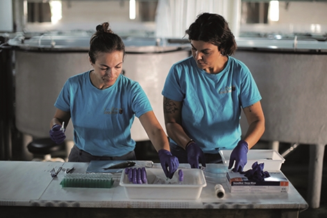 Investigadoras en instalaciones de acuicultura continental para el cultivo en tierra en San Pedro del Pinatar