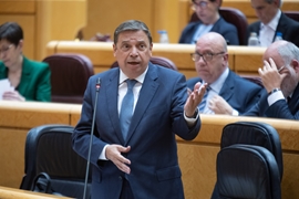 
				
			
				Hoy, en la sesión de control al Gobierno en el Senado
			
				