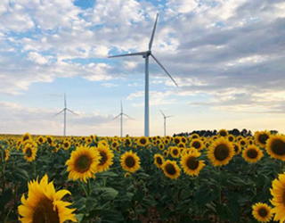Enlace a energías renovables