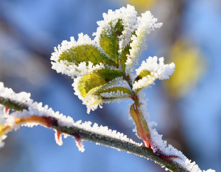 Enlace a episodios agroclimáticos