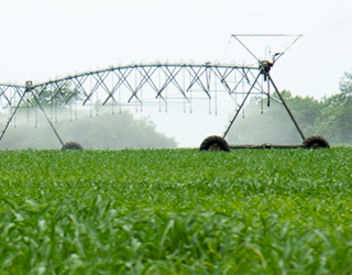 Enlace a informes de datos