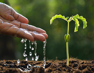 Enlace a necesidades netas