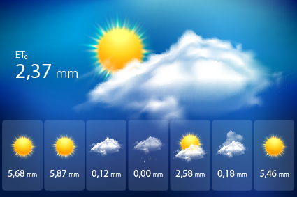 Pronóstico de necesidades netas
